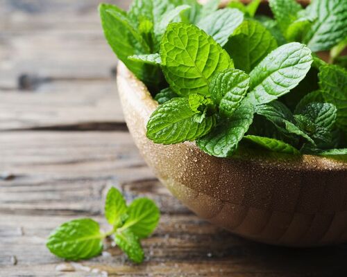 shutterstock_377609446