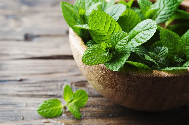 shutterstock_377609446